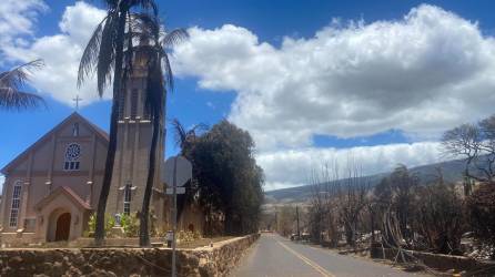 Los incendios en Hawái, que han dejado al menos 93 muertos, dejaron un paisaje que asemejaba estar bombardeado, pero a pesar de la desolación habían focos de una esperanza improbable.