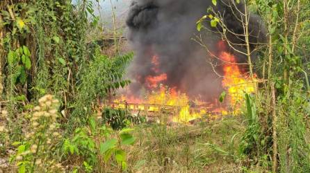 Más de 3 millones de arbustos y plántulas de hoja de coca fueron incinerados en las últimas horas en el Parque Nacional Patuca, en el departamento de Olancho, oriente de Honduras.