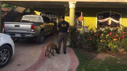 La operación Coral se ejecutó en propiedades de los hermanos Moya Cruz en la ciudad de La Ceiba y en el municipio de El Porvenir, Atlántida. Asimismo, en las comunidades de Chorreras y Tejeras en Olanchito, Yoro.