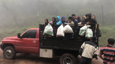Cortadores de café de Guatemala se trasladan a una finca para recolectar el grano en Copán.