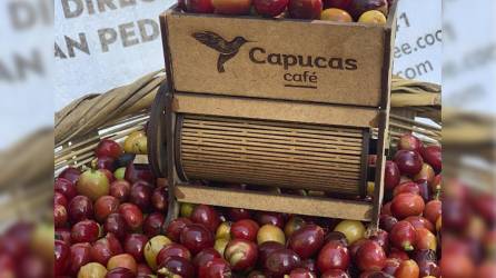 Galardonada por su compromiso con la sostenibilidad, la Finca Capucas cultiva más de 10 variedades de café en un entorno natural único.