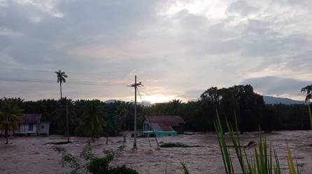 Las intensas lluvias registradas en los últimos días han provocado la crecida del río Ulúa, el mayor afluente que atraviesa el valle Sula.