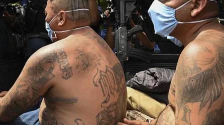 Integrantes de la Mara Salvatrucha (MS-13) Foto:AFP referencial/archivo