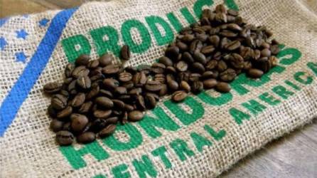 Granos de café hondureño | Fotografía de archivo