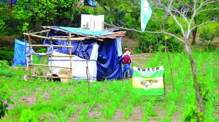 Invasión a tierras productivas del Fondo Ganadero de Atlántida en Puerto Arturo, Tela.
