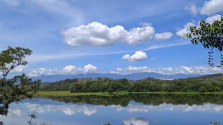 Para garantizar la conservación de la Laguna Jucutuma, se están implementando la gestión de aguas residuales, políticas de Responsabilidad Social Empresarial (RSE), y la promoción de actividades de ecoturismo como guías para avistamiento de aves.