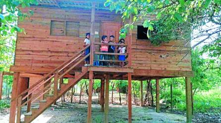 El centro de estudios creado para los niños del bordo que no podían asistir a clases. Fotos: La Prensa y cortesía