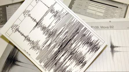 Varios gráficos muestran la señal originada de un sismo, en una fotografía de archivo. EFE/Jan-Peter Kasper