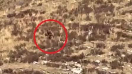 Video: Pareja asegura haber visto a pie grande en una montaña