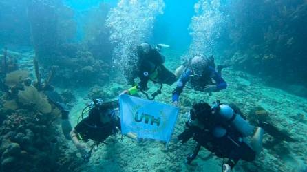 <b><span class=mln_uppercase_mln>aventura.</span></b> El equipo de la expedición científica muestra una bandera de la UTH en las profundidades del arrecife en Utila.