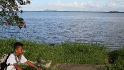 A pesar de los daños que recibe la Laguna de Alvarado por la contaminación, esta aún no pierde su belleza y encanto.