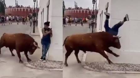 Video: Mujer es embestida por toro al estar distraída con el celular