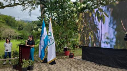 La ministra de Turismo, Yadira Gómez, oficializó la reapertura del Centro de Visitantes del Jardín Botánico Lancetilla, el cual fue desarrollado por el Instituto Hondureño de Turismo (IHT) en colaboración con la Universidad Nacional de Ciencias Forestales (UNACIFOR), cerrando el 2023 con impulso al ecoturismo y la potenciación de servicios turísticos en Tela.