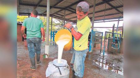 Aseguran que ya no es negocio producir leche porque los insumos se han disparado.