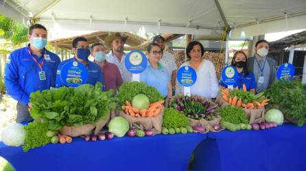 Los productores beneficiados de Francisco Morazán y Comayagua posan junto a ejecutivos de Walmart, Cohep, Zamorano y Secretaría de Desarrollo Económico (SDE).