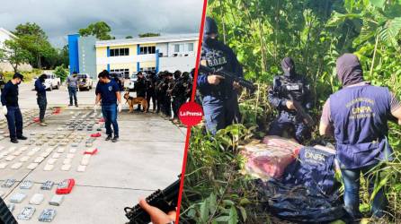 120 paquetes de supuesta cocaína decomisó la Policía Nacional en una hacienda en Iriona, Colón.