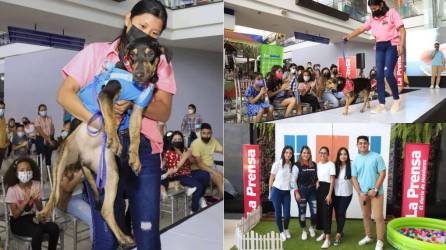 Pet Ville es un evento organizado por Diario LA PRENSA con el patrocinio de diferentes empresas para el apoyo de la Fundación Amor y Abrigo.