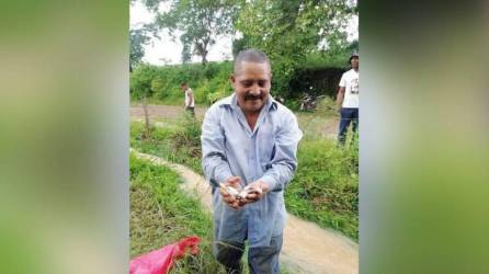 Ciudadano hondureño recoge peces luego de la lluvia en Yoro | Fotografía de archivo