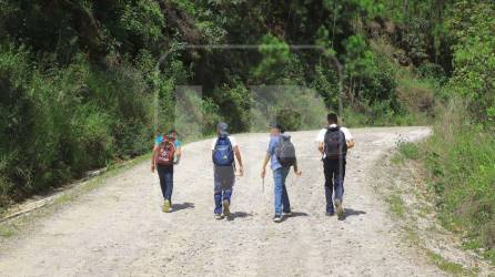Estudiantes caminan hasta cuatro horas para movilizarse entre su escuela y viviendas en Gualcince.