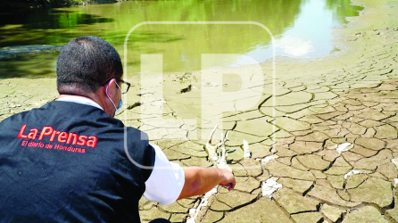 Periodistas de Diario LA PRENSA constataron que el río Guaymón en Tela ha perdido profundidad y anchura en varios tramos del cauce producto de la acumulación histórica de sedimento. Eta y Iota agregaron una capa mucho más gruesa.