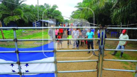 En la finca Cuacu, una extensión de más de 500 hectáreas de palma africana ubicada en el Aguán, los hermanos Javier y Devis Leonel Rivera Maradiaga, conocidos como los Cachiros, cultivaban y tenían una casa con lujos donde departían con sus amigos.Ahora esas tierras, incautadas por el Estado, están divididas: en una parte habitan campesinos y en la otra un grupo de hombres armados de supuestos arrendadores que también pelean los territorios.