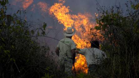 La quema de bosques ha sido un método tradicional para ganar tierras de cultivo.
