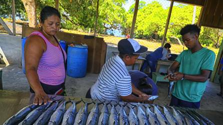 Indígenas de la etnia Miskita limpian pescados, el 24 de mayo de 2023, en la comunidad de Yahurabila (Honduras).