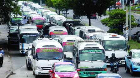 En la capital circulan aproximadamente 1,500 unidades del transporte urbano.