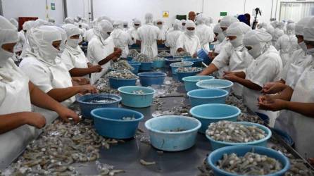 El cierre de México pone en riesgo la exportación de 22 millones de libras de camarón.