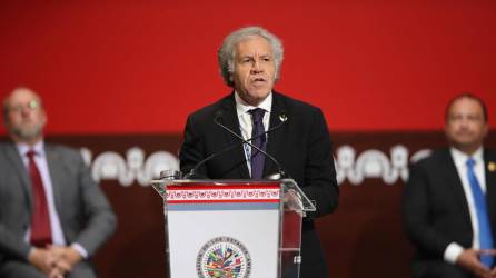 El secretario general de la Organización de Estados Americanos (OEA), Luis Almagro.