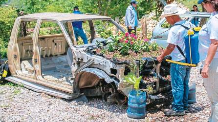 <b><span class=mln_uppercase_mln>Iniciativa.</span></b> Copán Ruinas avanza en cuidado del medio ambiente.