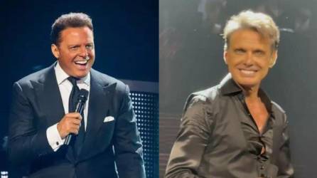 Los fans de Luis Miguel creen que es un doble del cantante el que sube al escenario