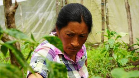 Las mujeres productoras trabajarán en grupos para desarrollar sus emprendimientos.