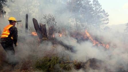 Incendio forestal en una zona boscosa de Honduras | Fotografía de archivo