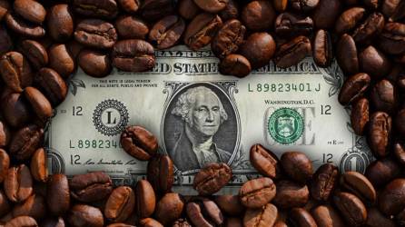 El café es uno de los mayores aportantes al PIB agrícola.
