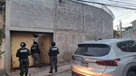 Miembros de la Policía Militar y la DLCN en una de las propiedades allanadas.