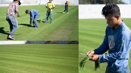 El Estadio Francisco Morazán cada vez va tomando más color y Diario LA PRENSA visitó las instalaciones para ver los avances de su engramillado.