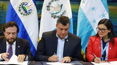 Los tres países firmantes estuvieron representados por el vicepresidente de Guatemala, Guillermo Castillo, de la República de El Salvador, el vicepresidente Félix Ulloa y de parte de Honduras, Sua Martínez Ibarra.