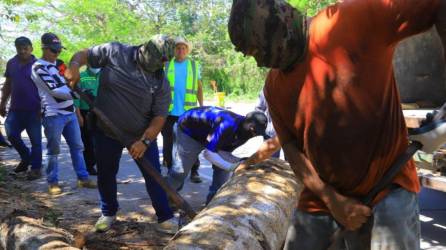La Policía Municipal decomisó la madera de color con que se desarrollaban productos en las inmediaciones del bordo del río Santa Ana.