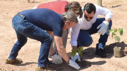 Durante el evento inaugural, se llevó a cabo la colocación de la primera planta del viñedo.