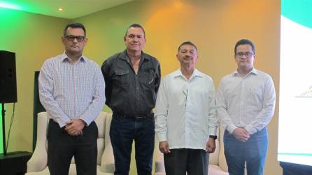 El ingeniero José Avilez, presidente de la Junta Directiva capítulo noroccidental del CICH, junto a los conferencistas hondureños Mario Pineda, Julio Gonzáles y Orlando Avendaño.