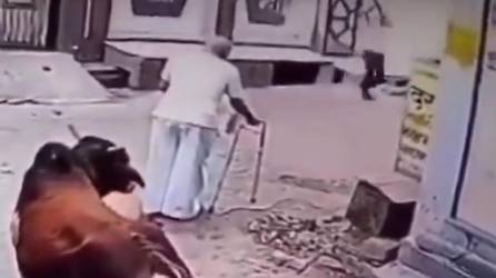 Video: Toro ataca a abuelita mientras caminaba por una calle