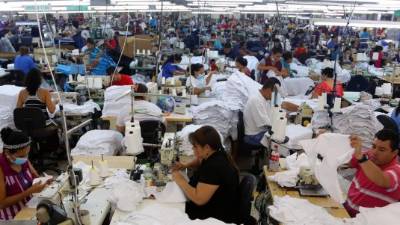 Génesis Apparel fue la primera maquila textil que se instaló en el municipio de Choloma, Cortés. Fotos: Yoseph Amaya