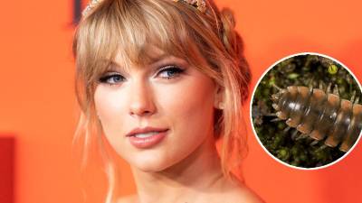 La cantante de música pop Taylor Swift.