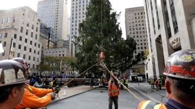 Varios operarios colocan el árbol de Navidad en la plaza de Rockefeller Center de Nueva York.