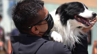 El entrenador de perros Edgar Martínez, abraza a su mascota Orly durante una manifestación contra el maltrato animal hoy.