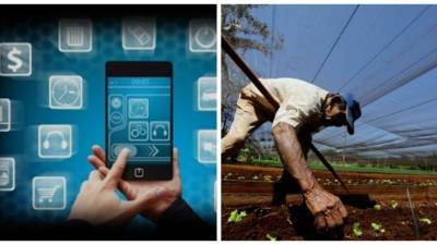 Los servicios financieros figuran con frecuencia entre los que más crecen, pero la mejora en el desempeño agrícola la afianzan entre las actividades que impulsan el crecimiento económico.