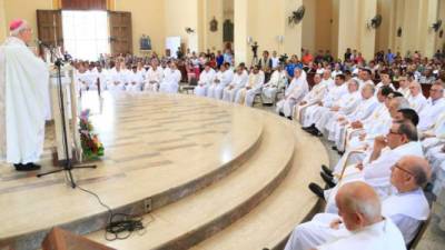 La Diócesis de San Pedro necesita más sacerdotes porque no son suficientes los que hay. Foto: Yoseph Amaya