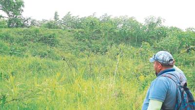 Urgen de obras de mantenimiento en los bordos de los ríos y canales.