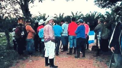 Entre las empresas afectadas por las invasiones están Corporación Dinant, Agropor, Salamá, Inversiones La Ceibeña.